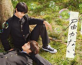 网站优化流程及报价